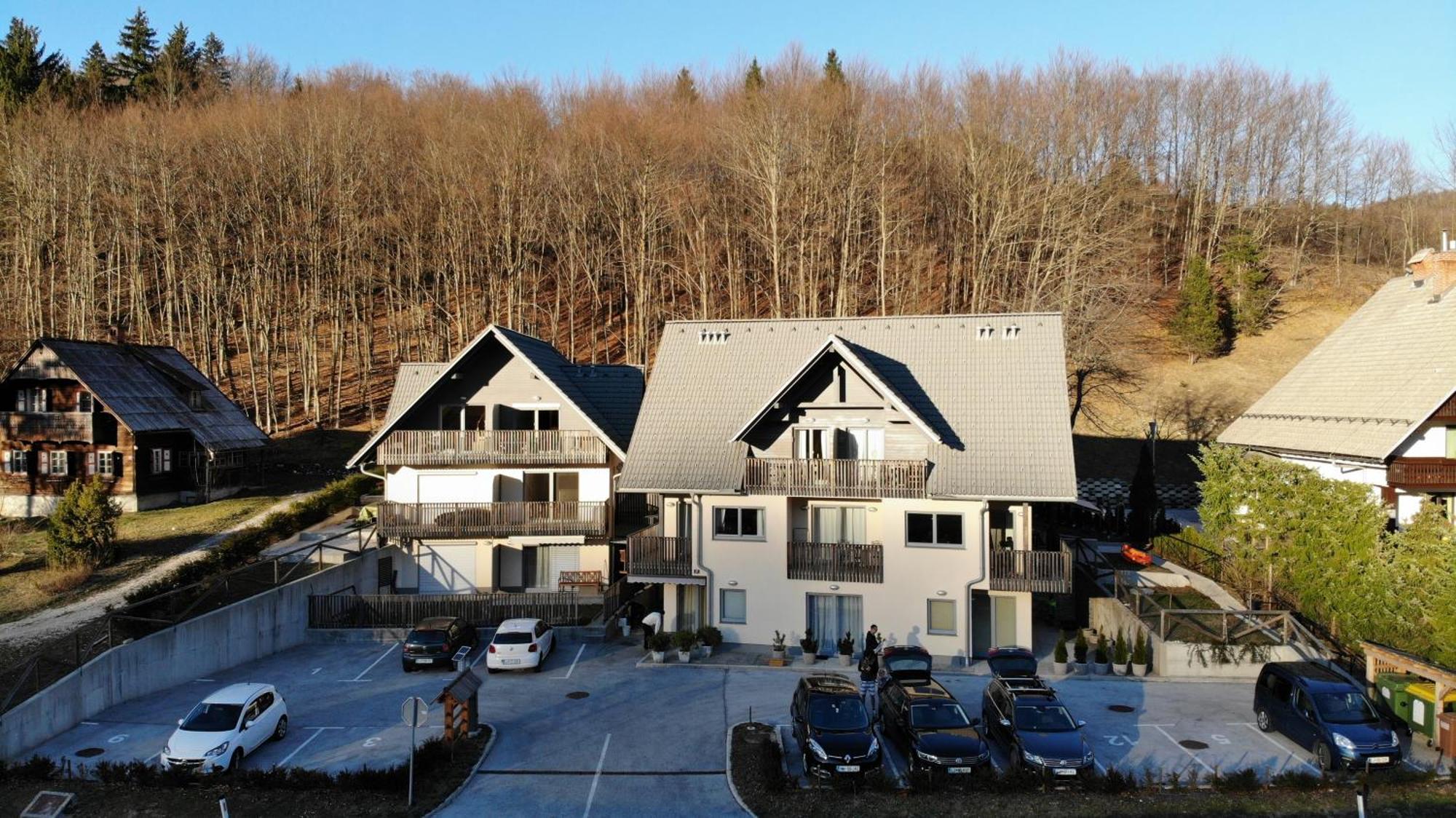 Apartment Manca-Holin Bohinj Exterior foto